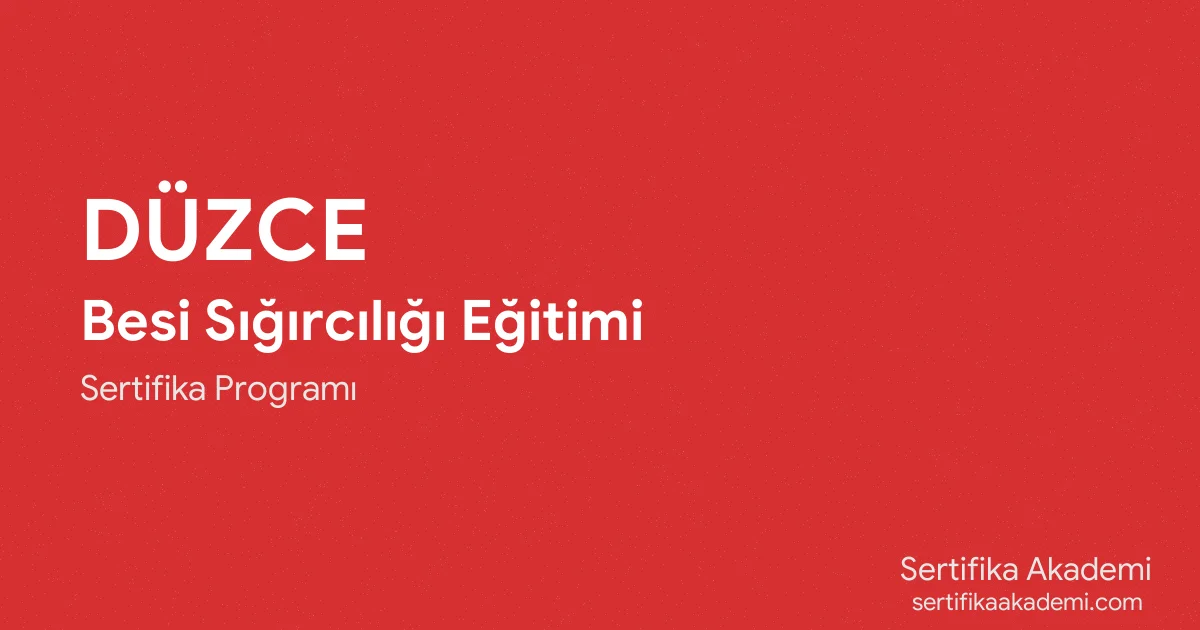 Düzce Besi Sığırcılığı Eğitimi
