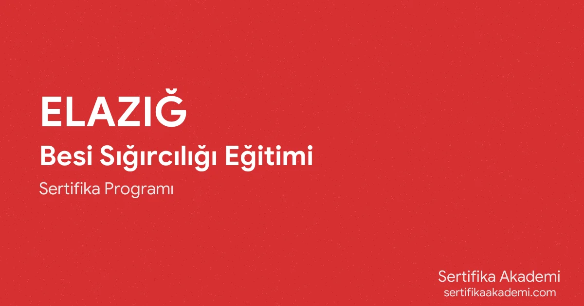 Elazığ Besi Sığırcılığı Eğitimi
