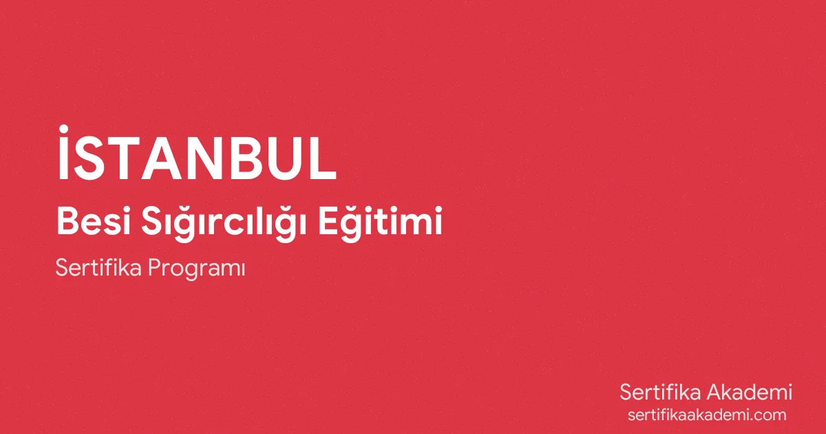 İstanbul Besi Sığırcılığı Eğitimi