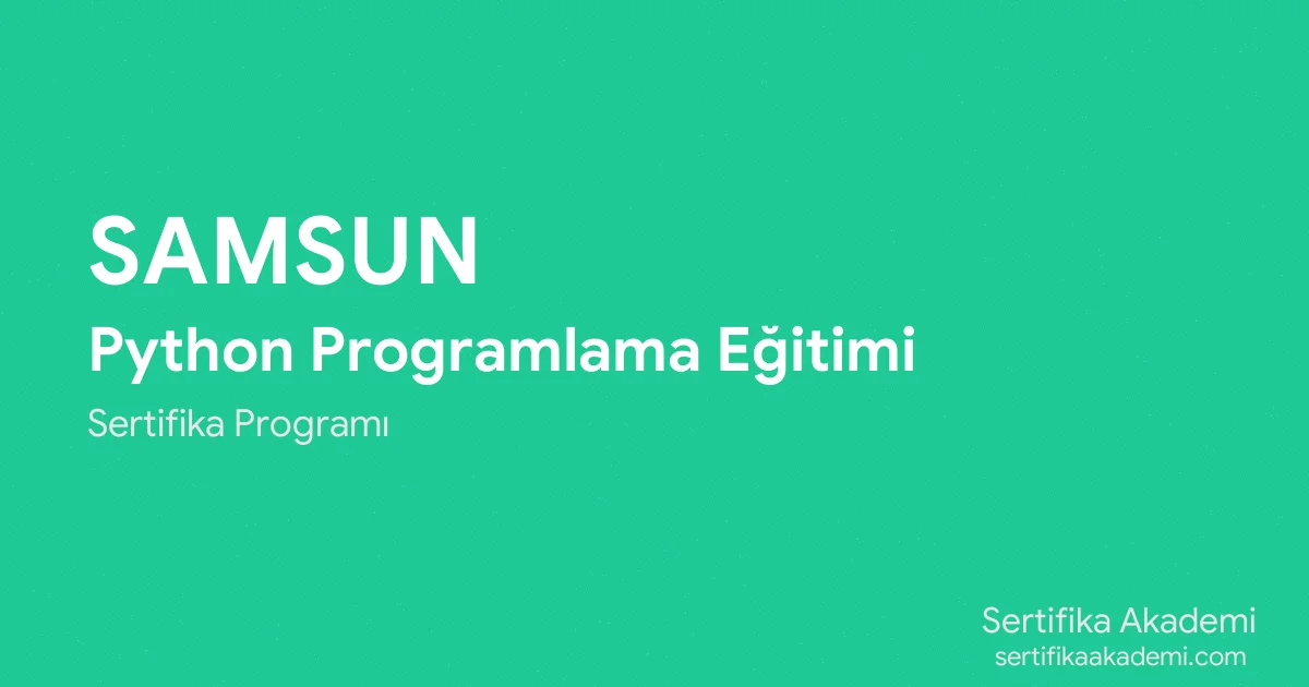 Samsun Python Programlama Eğitimi