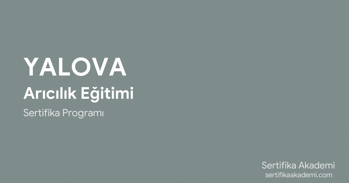 Yalova Arıcılık Eğitimi